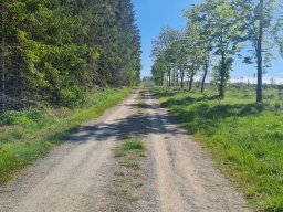 2024_05_08__waldjugendspiele_018