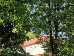 2024_06_27___schullogo_004