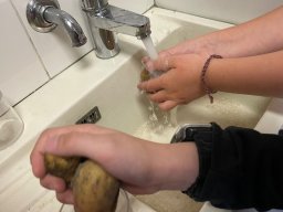 Kartoffeln im 3. Schuljahr